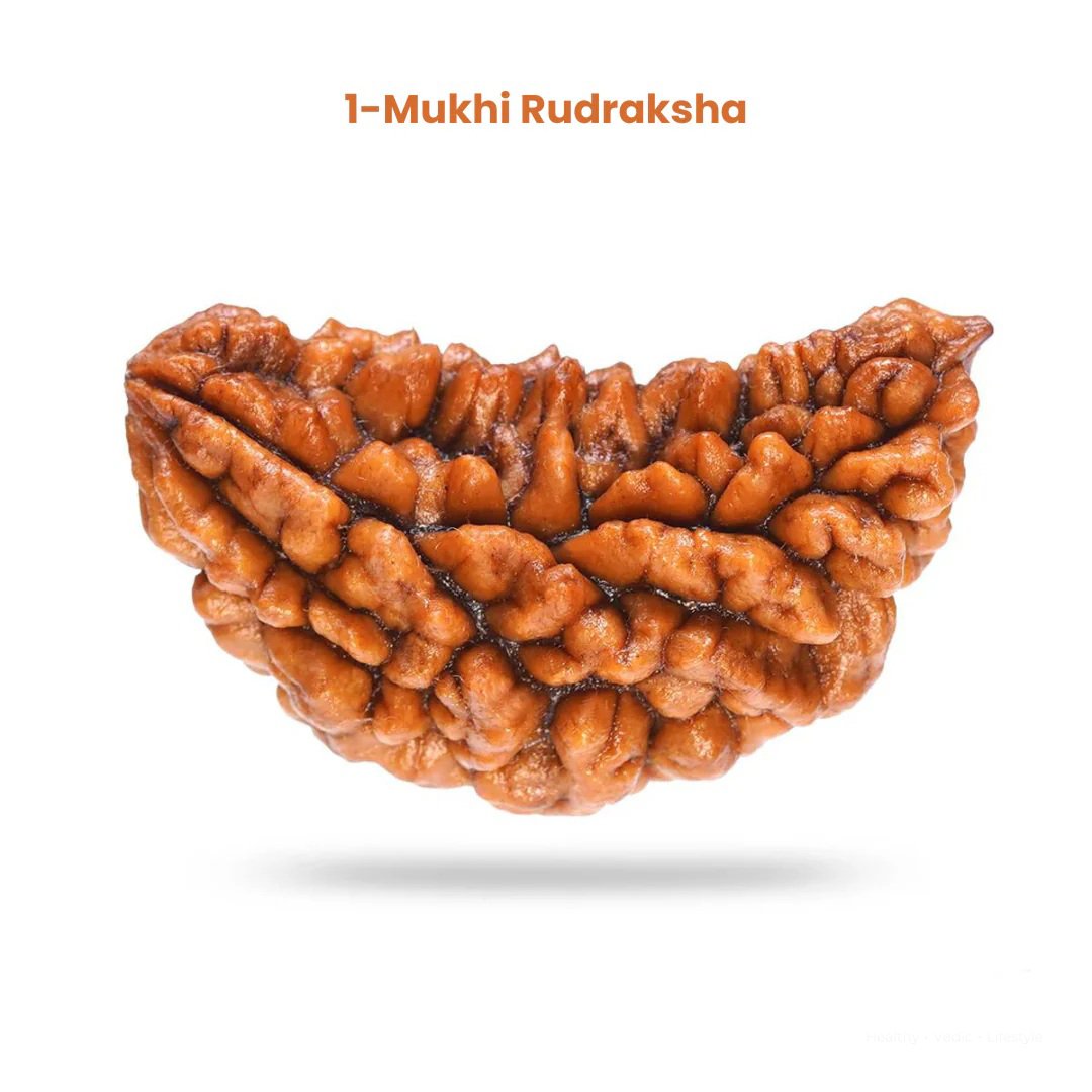 1_mukhi_rudraksha