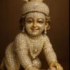श्री वासुदेव बाल-लड्डू गोपाल प्राण प्रतिष्ठा